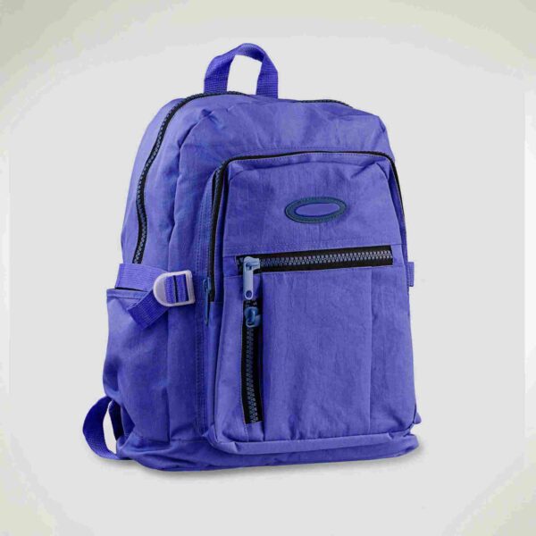 Blue backpack